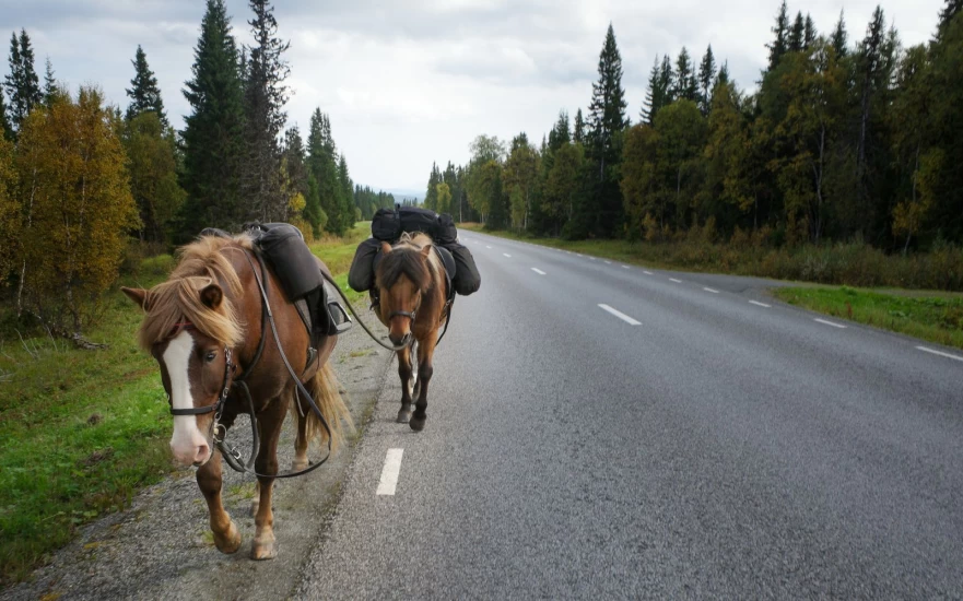 Målet var ikke å ri langt, men å finne ro: Stian red en helt spesiell tur på 60 mil