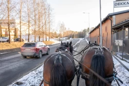 Endelig lanseres nye grep for tryggere ferdsel med hest i trafikken