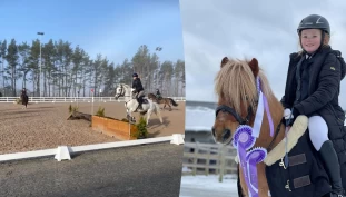 Haugaland Hestesport Arena er Årets idrettsanlegg – samler mange grener