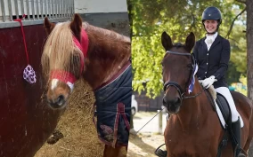 Åpenhet om kverke: Stall Tonheim deler sine erfaringer