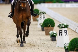 FEI: – Vi ønsker gransking velkommen, men den må være saklig