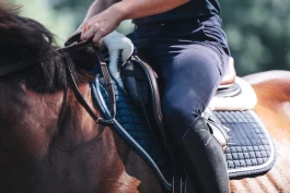 Den lokale rideklubben: – Dypt lei oss for at dette har skjedd sårbare unge jenter