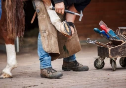 Sendte sex-meldinger til mindreårige – opererer fortsatt i hestemiljøet