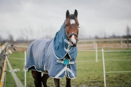 Velg rett dekken til rett hest – en guide