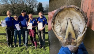 Hovslagerlærlinger samlet i Stoneleigh for faglig påfyll