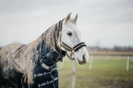 Forskeren om når hesten trenger dekken