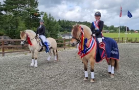 – Kanskje vil flere få opp øynene for fjordhesten som en god konkurransehest