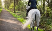 Flere gode grunner til å trene hesten i naturen