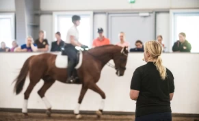 Stor interesse for nytt tilbud for ridelærere: – Over all forventning