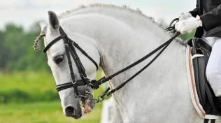 Ferske forskningsresultater om gaping: – Opplevde uten tvil smerte i munnen