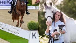 Dressurdommeren ser en positiv utvikling: – Tradisjoner må brytes og endres