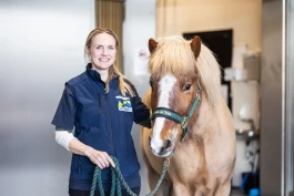 Jorunn (43) er veterinærens høyre hånd: – Det teamet kan være helt uslåelig