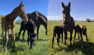 Da en mamma døde, tok en annen over: – Noe tragisk ble så fint