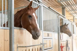 Skadet seg alvorlig på dekkenhengeren: – Plassering på boksdøren bør unngås