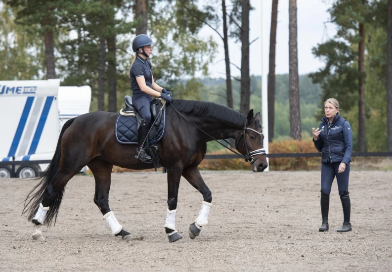 Dressur tar tid, mener Lotta: – Det finnes ingen quick fix