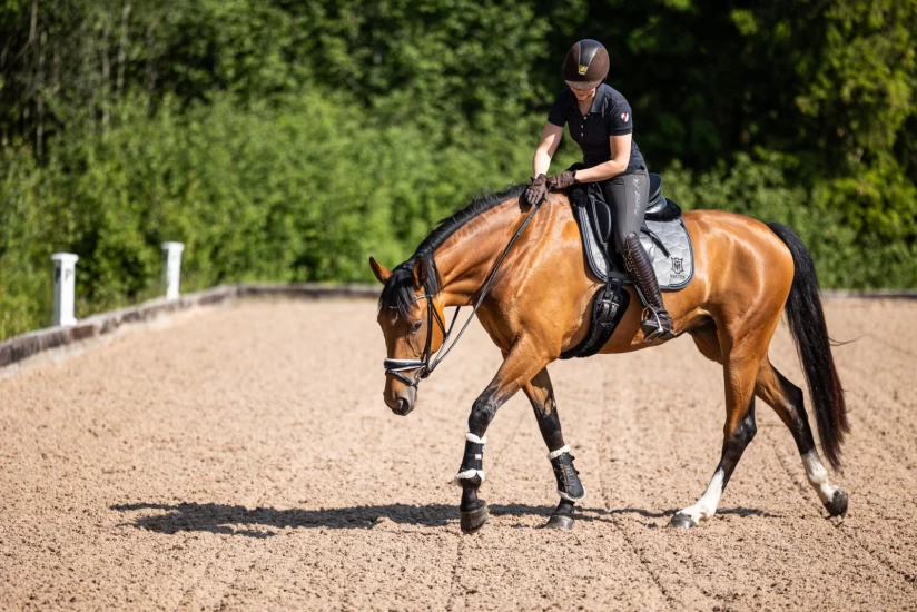 På Bråthen Gård vokser Grand Prix-hester fram: – Håper at Ella kan bli som storebror