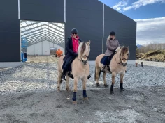 Samarbeid på tvers av grener løfter hestesporten i Ørsta