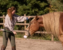 Matilde tipser: Slik lærer du hesten å ta på grimen selv