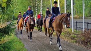 Fryser opptaket til ridelærerutdanningen grunnet økonomi og omstilling
