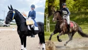 Tre grener med samme hest – ingenting er for vanskelig for Ella og Baloo