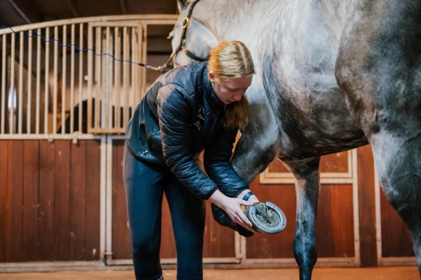Derfor kjenner hestepasser Vanja over hele hesten – hver eneste dag