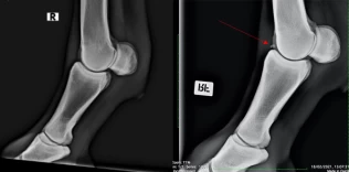 Røntgen løser ikke alt: – Det er viktig å gjøre folk mer kritiske