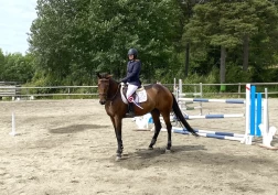 Sparket gjennom boksveggen – ett år senere er Fidelity tilbake i sporten