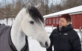 – Rytterens sits og innvirkning har blitt vektlagt for lite