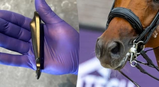 Slik fungerer den nye nesereimkontrollen i praksis