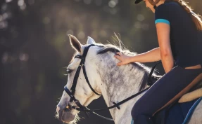 8 av 10 kvinner har opplevd smerter i brystene under ridning