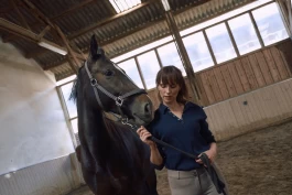 Ny undersøkelse: Veterinæryrket er mer krevende enn dyreeiere tror