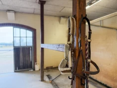 Derfor er riktig rengjøring av grimer viktig – forskning viser hvorfor