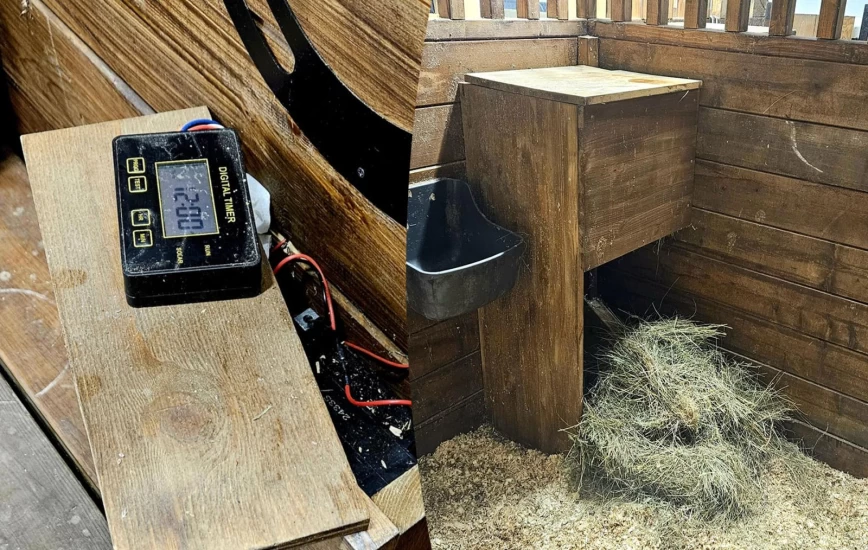 Gjør det selv: Hjemmelaget fôrautomat til boksen