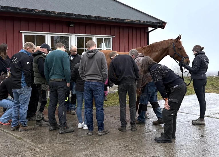 Et nytt kapittel i norsk hovslagerhistorie