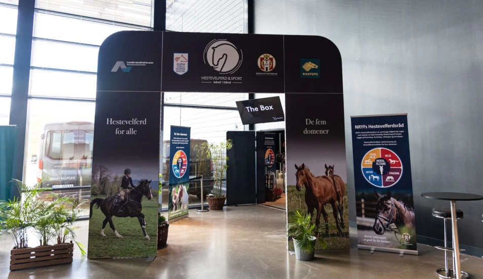 Satser på hestevelferd – vil øke barn, unge og foreldres kunnskap