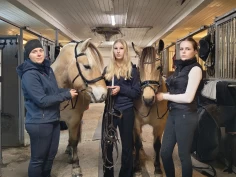 Dressurryttere vil ri med nesereim som lar hesten gape mer