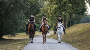 Cecilia Lönnell: Slik henger trening, helse og hestevelferd tett sammen