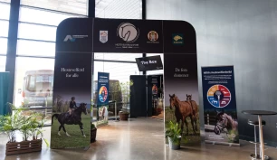 Satser på hestevelferd – vil øke barn, unge og foreldres kunnskap