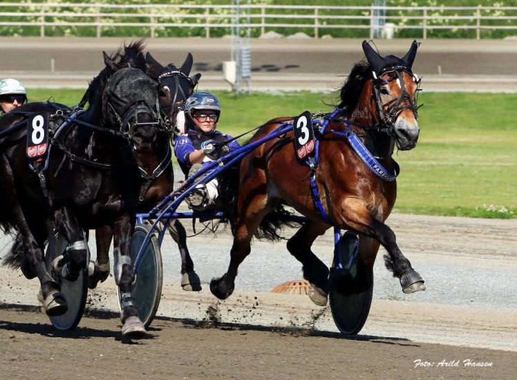 Veronika er hovslager, kusk og proff travtrener: – Allsidigheten er min styrke