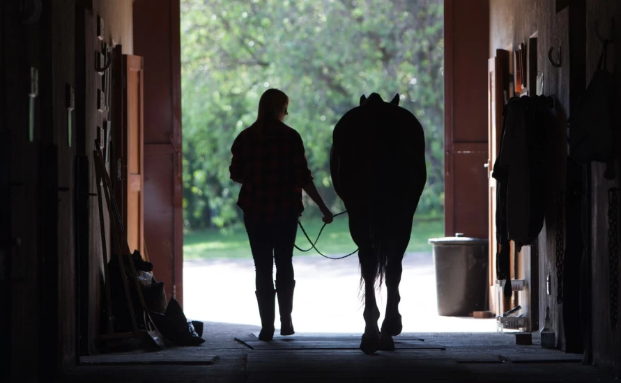 Tausheten beskytter makten – og rammer unge kvinner