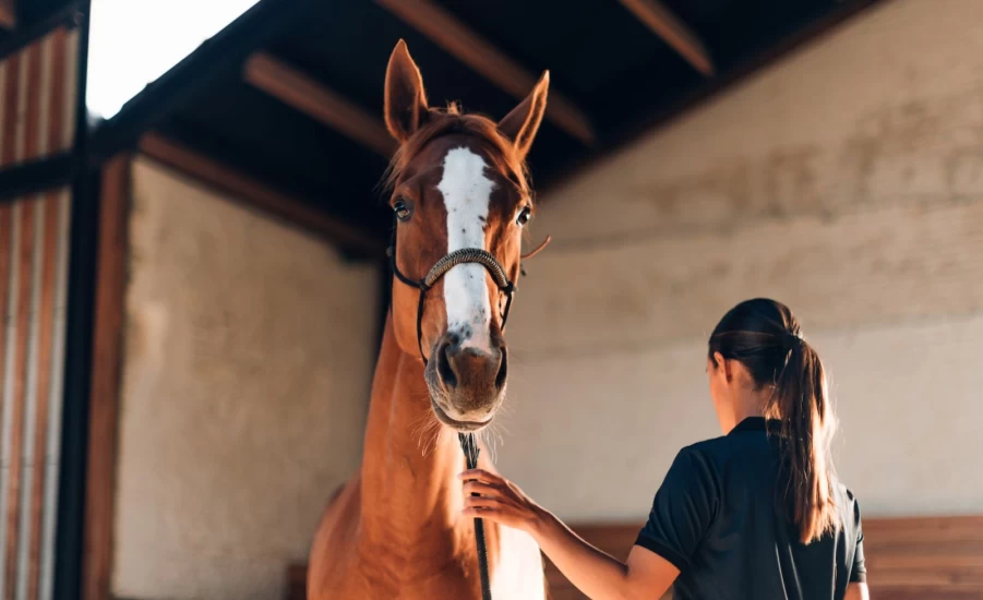 Ny studie: Halvparten har opplevd trakassering eller overgrep