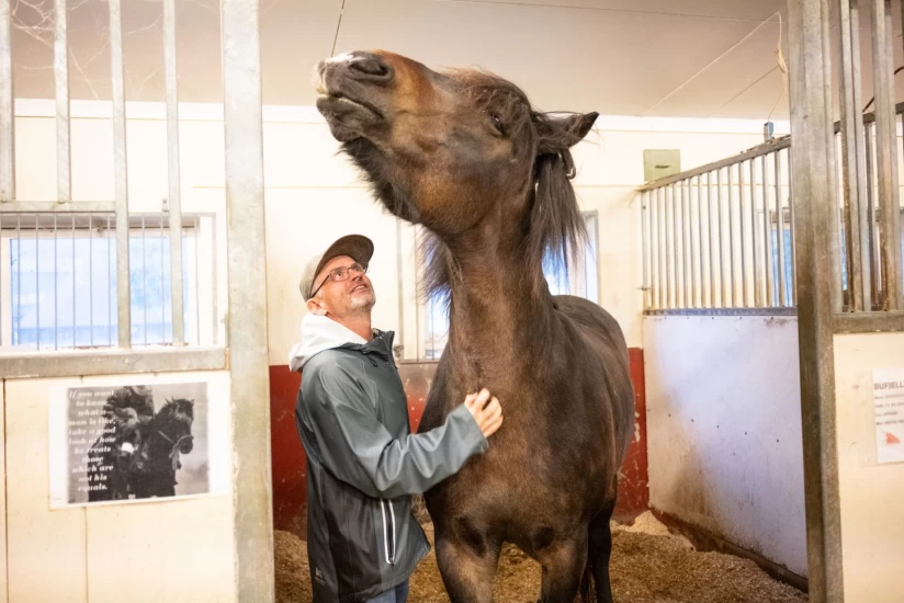 Døve og døvblinde finner glede i hesten: – En følelse av frihet