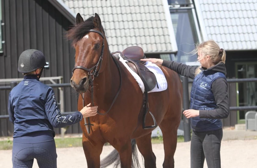 Steg for steg: Saltilpassing i praksis