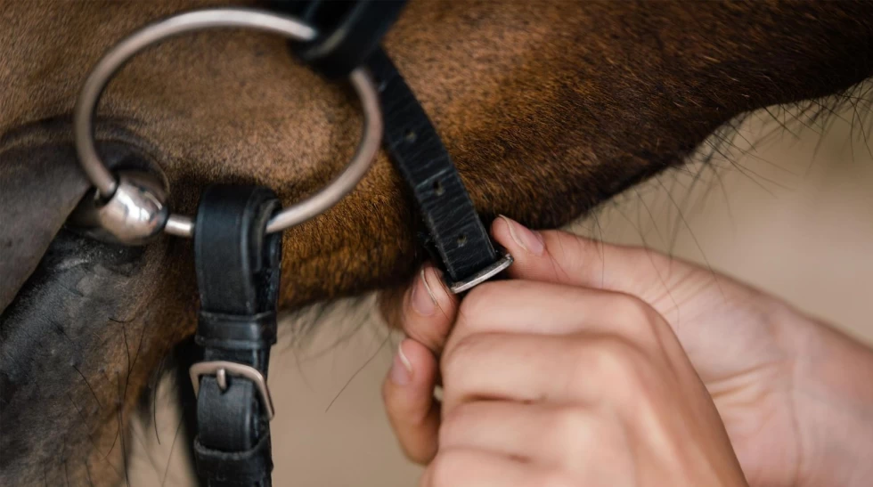 Stramme nesereimer kan gi smerte – og kortere steg