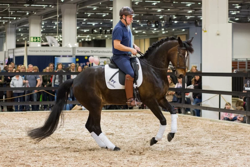 Når hånden blir fjærlett: Waaler om veien til bittløs selvbæring