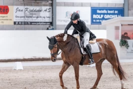 Etterlyser valgfrihet: – Alle må jo ikke ri bittløst, men de som vil bør få lov
