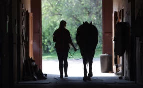 Tausheten beskytter makten – og rammer unge kvinner