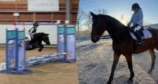 Lova (10) konkurrerte med både storhest og shettis samme helg