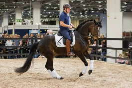 Når hånden blir fjærlett: Waaler om veien til bittløs selvbæring