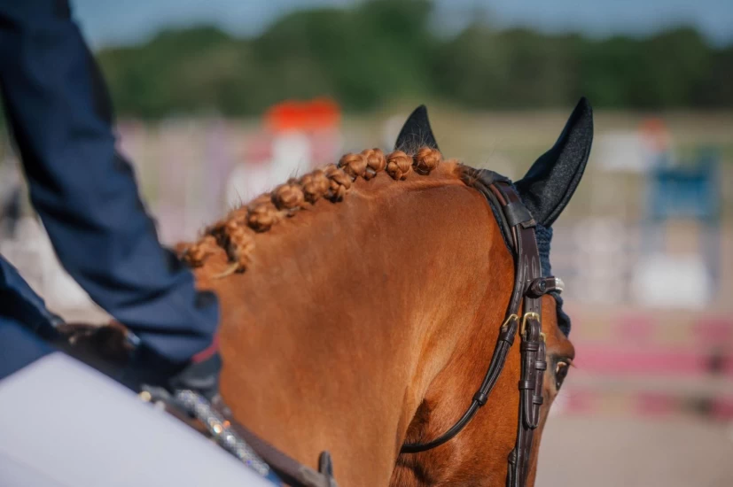 Juks med ponnimålinger: – Vi vet det har vært gjort